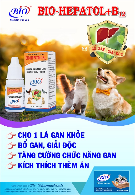 BIOHEPATOL B12 FOR PET - BIO PHARMACHEMIE